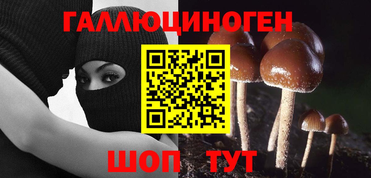 Галлюциногенные грибы ЛСД  Вход с VPN  Кушва 